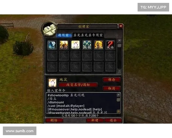 魔兽世界70级奶骑操作指南