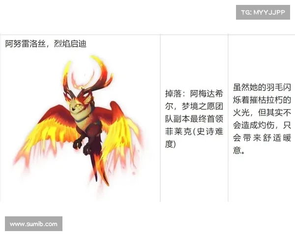 魔兽世界坐骑查询：准确统计你的坐骑数量