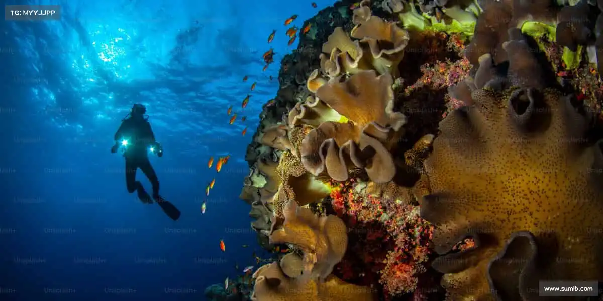 金年会官方网站入口——🏇✨ 马背上的骄傲,飞驰人生!